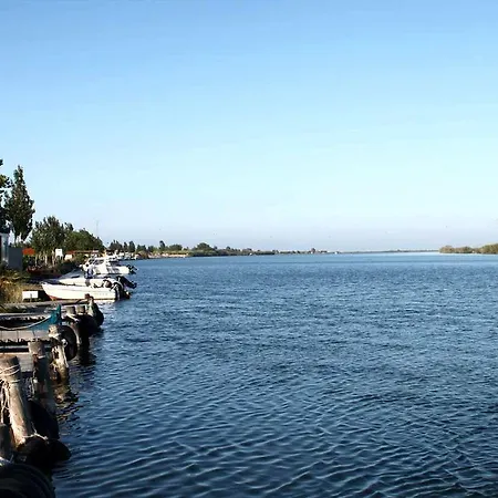 Mi En El Delta Del Ebro *