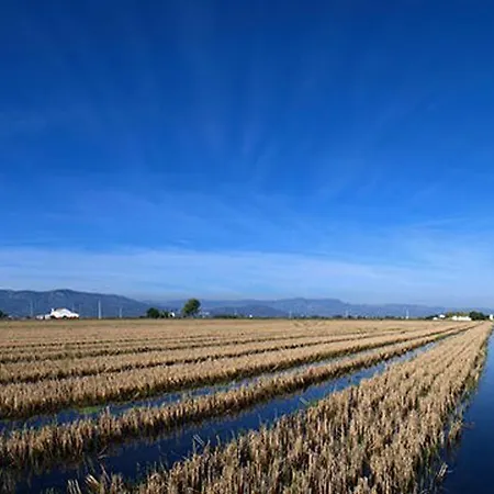 Apartmán Mi En El Delta Del Ebro
