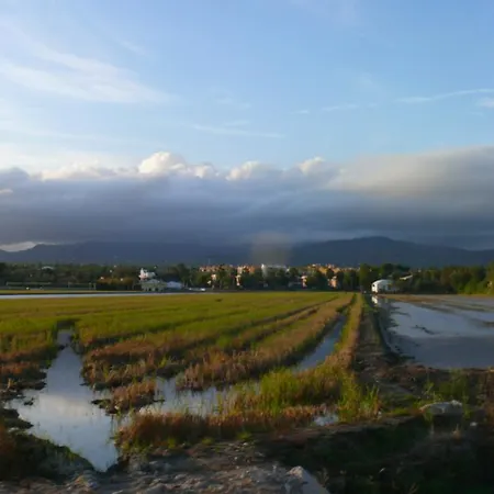 Mi En El Delta Del Ebro Apartmán