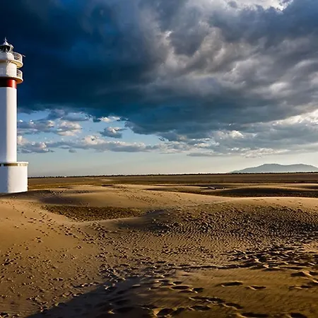 Mi En El Delta Del Ebro * Deltebre